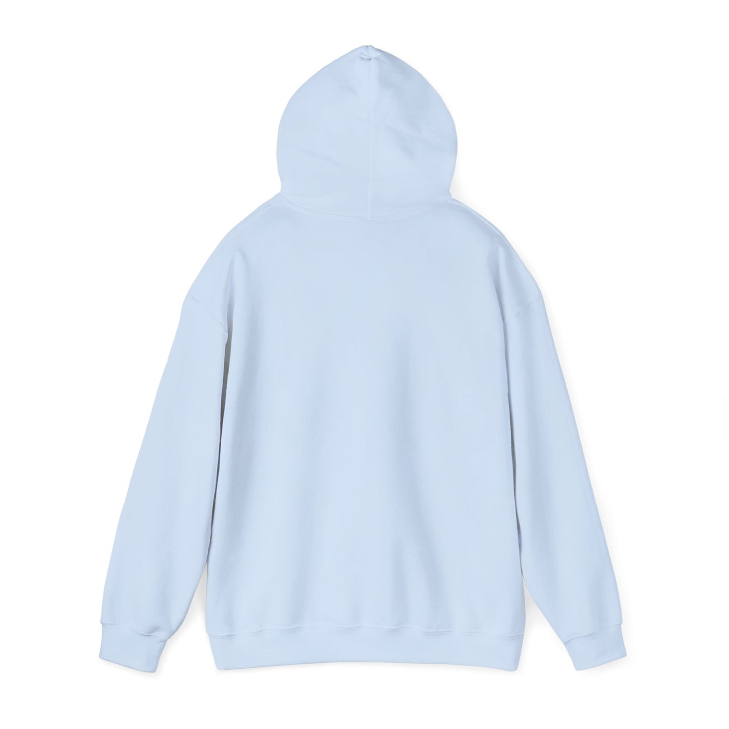 Embroidered Ladybug Hoodie