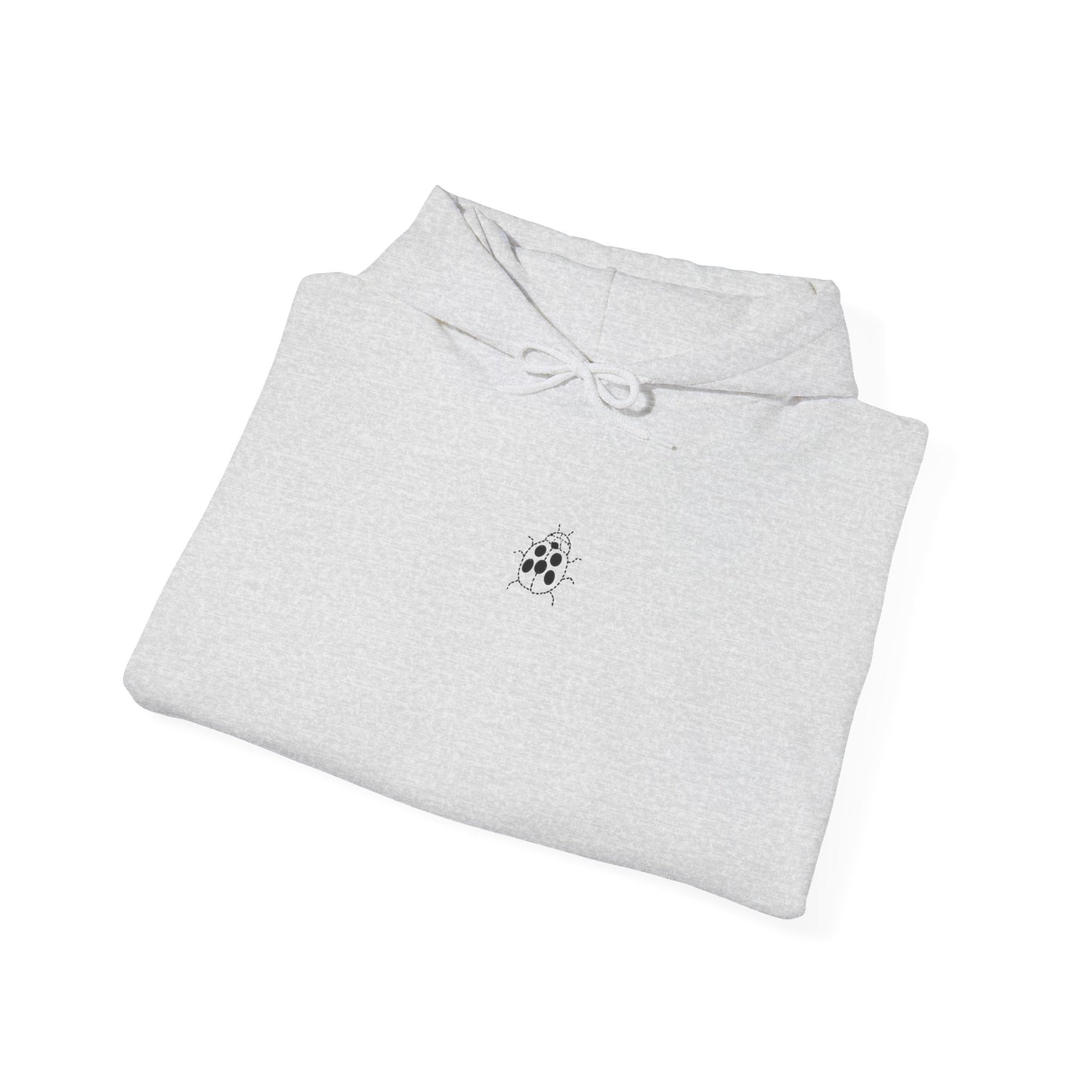 Embroidered Ladybug Hoodie