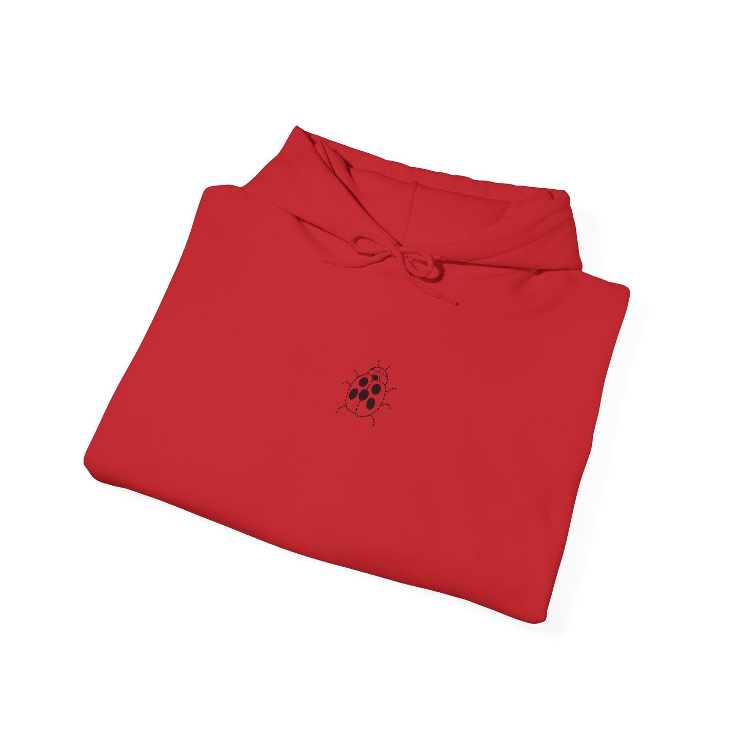 Embroidered Ladybug Hoodie