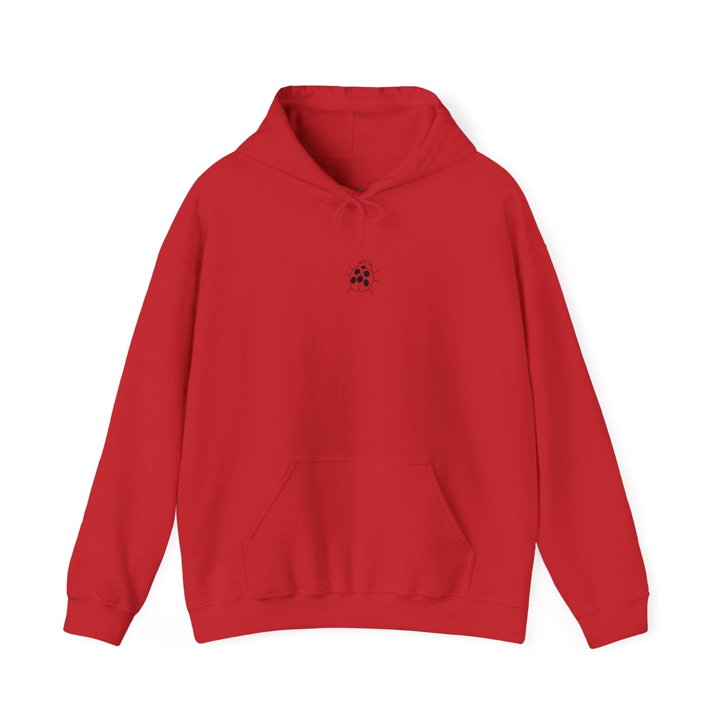 Embroidered Ladybug Hoodie