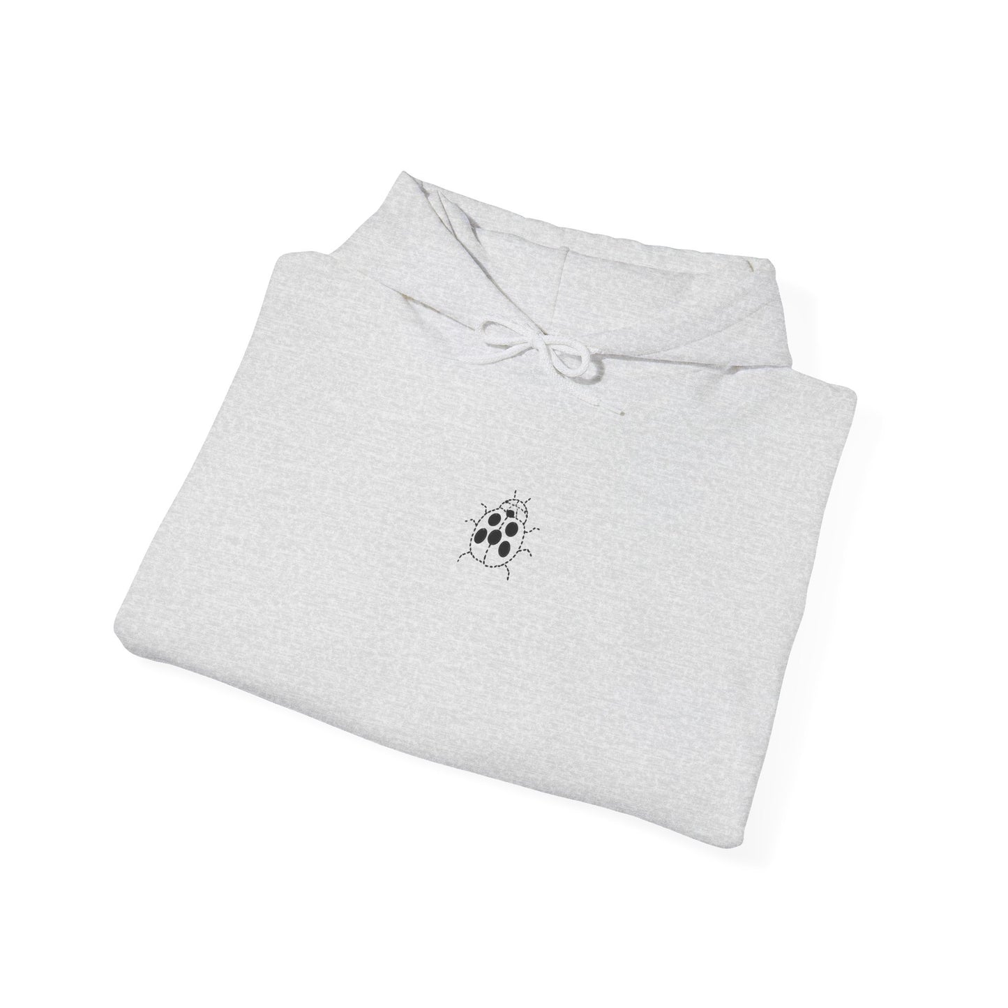 Embroidered Ladybug Hoodie