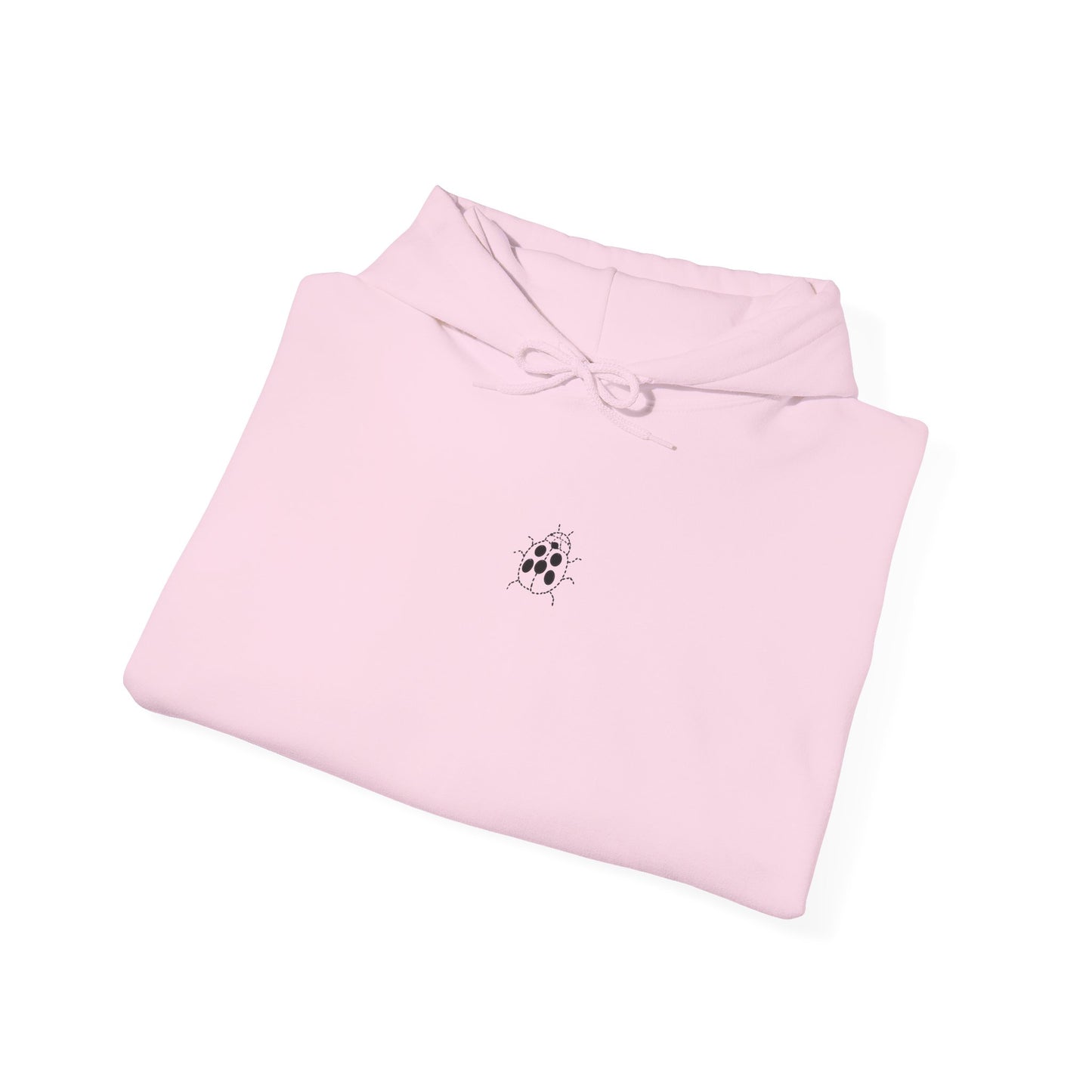 Embroidered Ladybug Hoodie