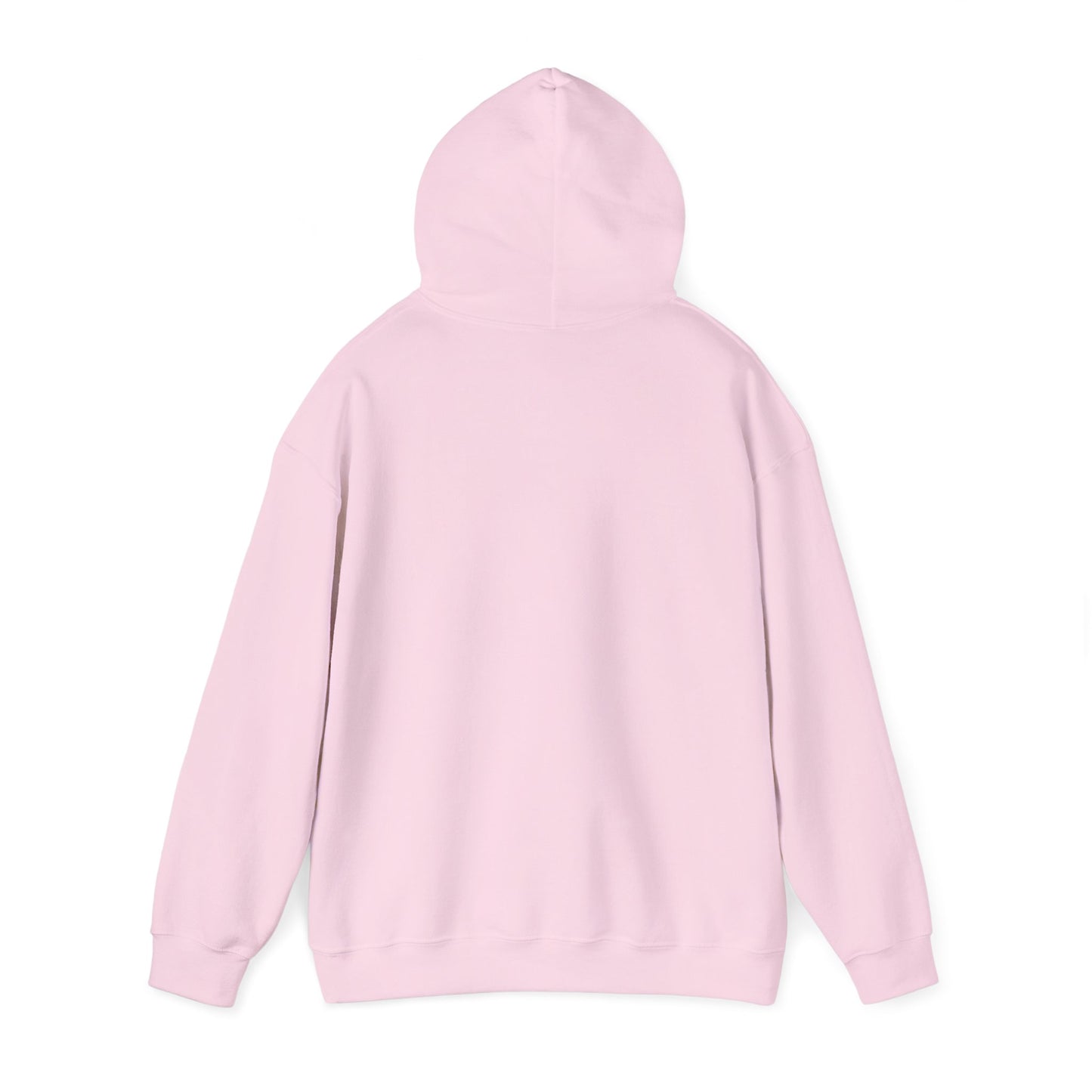 Embroidered Ladybug Hoodie