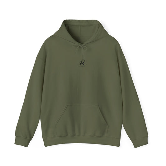 Embroidered Ladybug Hoodie